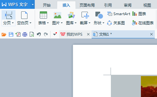 wps怎么截图? wps截图的方法