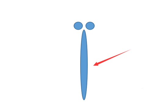 WPS怎么画红蜻蜓? wps蜻蜓的画法