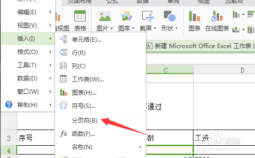 wps表格怎么添加分页符? wps分页符的使用教程