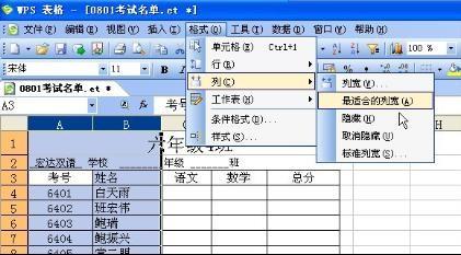 wps表格精华教程