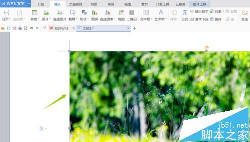 wps文字怎么打印背景?
