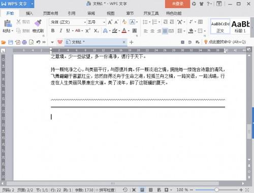 WPS2016如何快速输入各类横线?