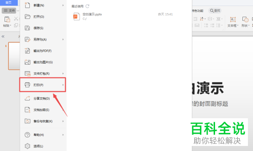 WPS打印PPT文档时如何设置纯黑白颜色