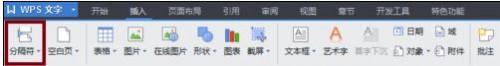 wps怎样插入分隔符