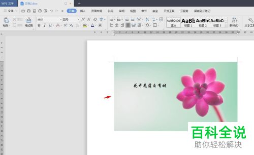 WPS如何将文字添加到图片中