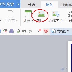 wps怎么设计一款简约的简历?