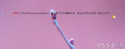 wps背景怎么设置?