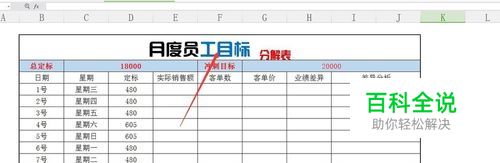 WPS/EXCEL表格怎么给文字/表格填充不同的颜色