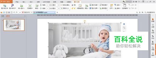 wps演示中如何裁剪图片