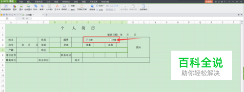 wps表格中如何制作带勾复选框？