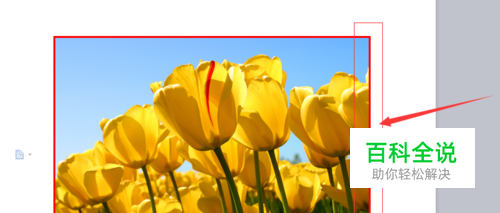 WPS文字怎样添加图片边框