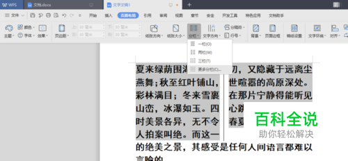 wps 段落分成两栏，栏宽相等，加分隔线