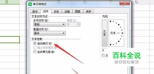 WPS表格中如何设置一个单元格内输入多行文字？