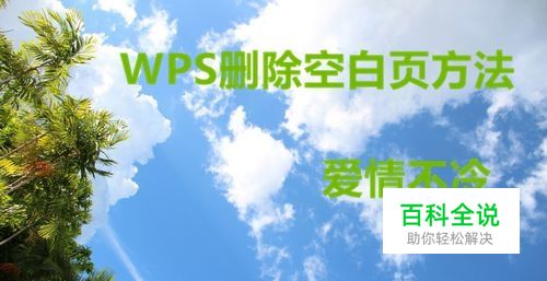 wps怎样删除空白页 WPS文档的空白页如何删除