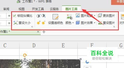 WPS表格如何插入图片？图片样式如何设置？