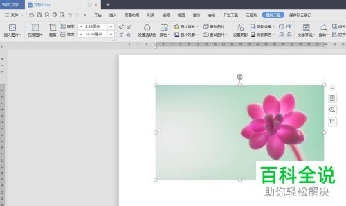 WPS如何将文字添加到图片中