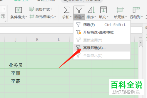 WPS怎么对Excel文档进行条件筛选