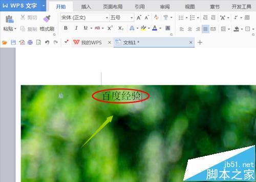 wps文字怎么打印背景?