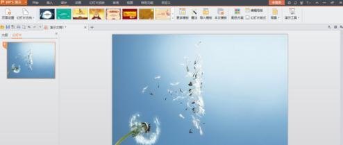 wps怎么添加ppt背景