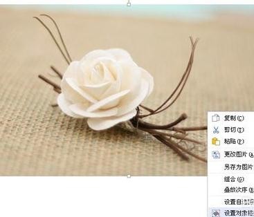 wps背景图片大小怎么设置