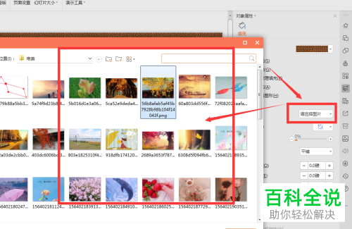 WPS怎么设置PPT文档幻灯片背景图片