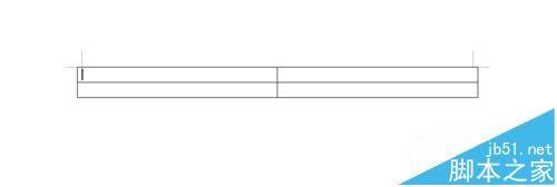 wps表格怎么添加竖线? wps表格竖线的绘制方法