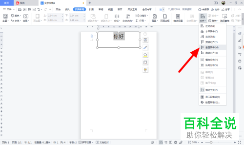WPS如何将文字移动到页面正中位置
