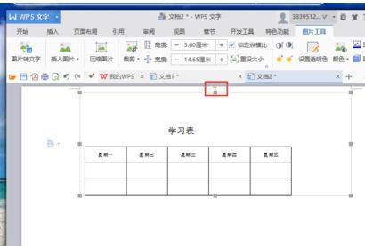 WPS文字怎样把横排设置为竖排显示