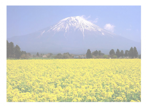 WPS演示教程:对象填充效果在课件制作中的应用