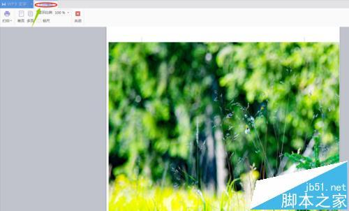 wps文字怎么打印背景?
