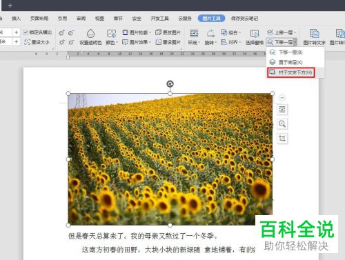 WPS怎么在Word文档中插入图片并衬于文字下方