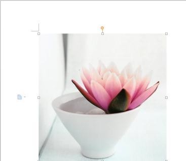 wps文字如何插入照片图文