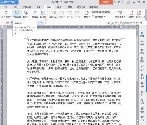 WPS2016字数统计技巧