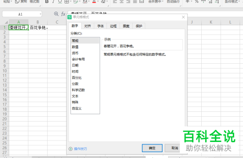 WPS如何隐藏Excel单元格溢出内容