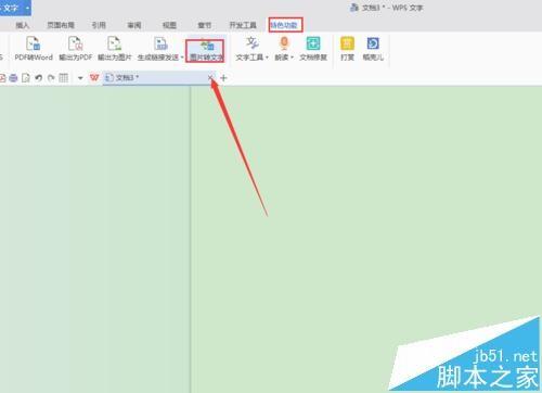 wps图片中的文字怎么转换成文字?
