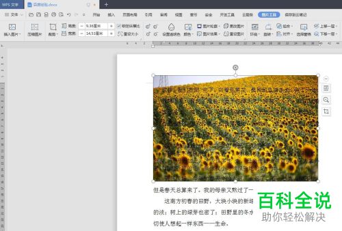 WPS怎么在Word文档中插入图片并衬于文字下方