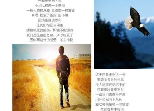 wps文字如何排版 wps文字排版技巧