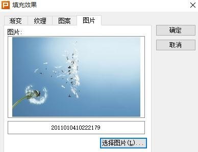wps怎么添加ppt背景