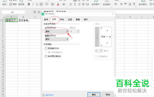 WPS如何隐藏Excel单元格溢出内容
