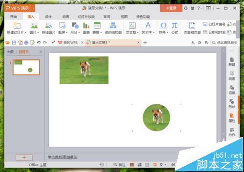 WPS图片怎么改变形状?