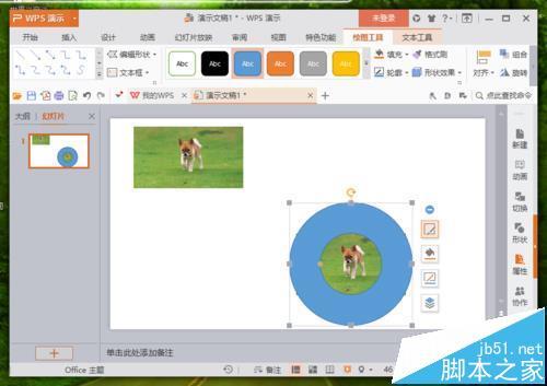 WPS图片怎么改变形状?