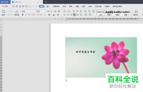 WPS如何将文字添加到图片中