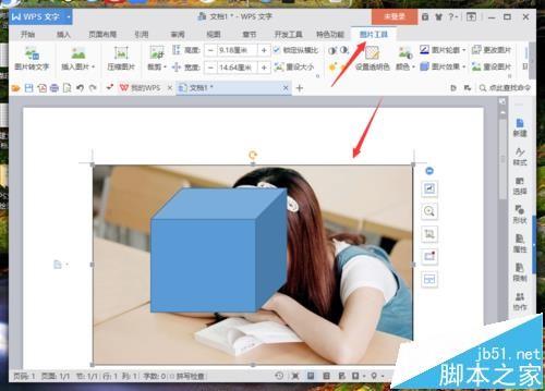 wps绘图工具栏在哪里? wps使用绘图工具绘制图形的教程
