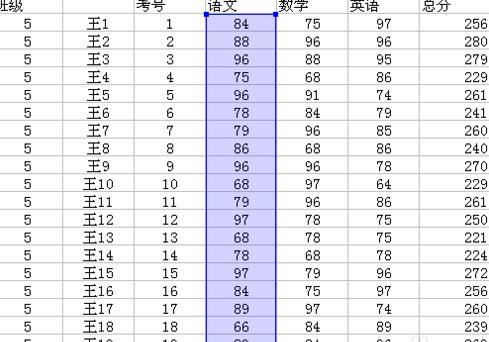 wps表格怎样制作成绩表