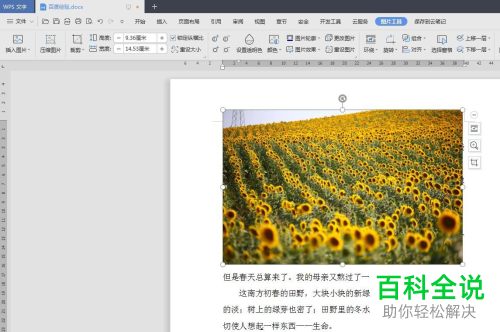 WPS怎么在Word文档中插入图片并衬于文字下方