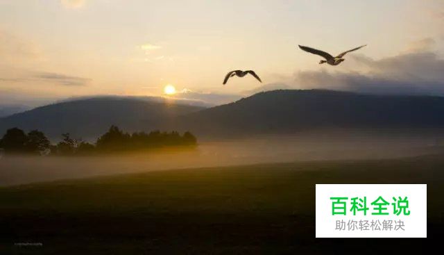 为什么知道拍摄参数也拍不出好片？