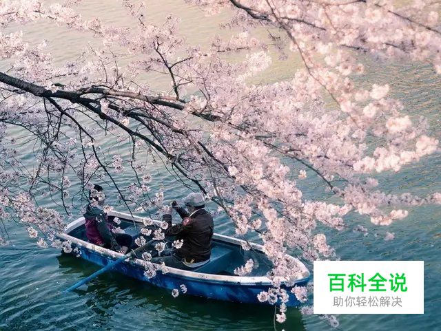 为什么知道拍摄参数也拍不出好片？