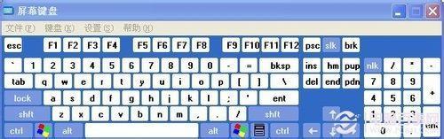 为什么笔记本键盘打不出字了
