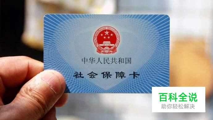 网上怎么查询自己社保缴纳情况