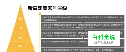微淘商家号分为哪些等级?
